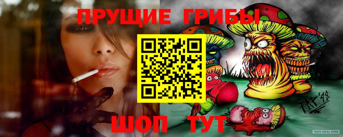 Галлюциногенные грибы прущие грибы Кисловодск