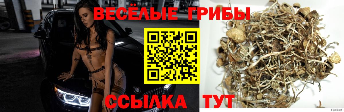 Галлюциногенные грибы мухоморы  Вход с VPN  Кисловодск  Псилоцибиновые грибы Cubensis 